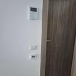 Decebal Craiova